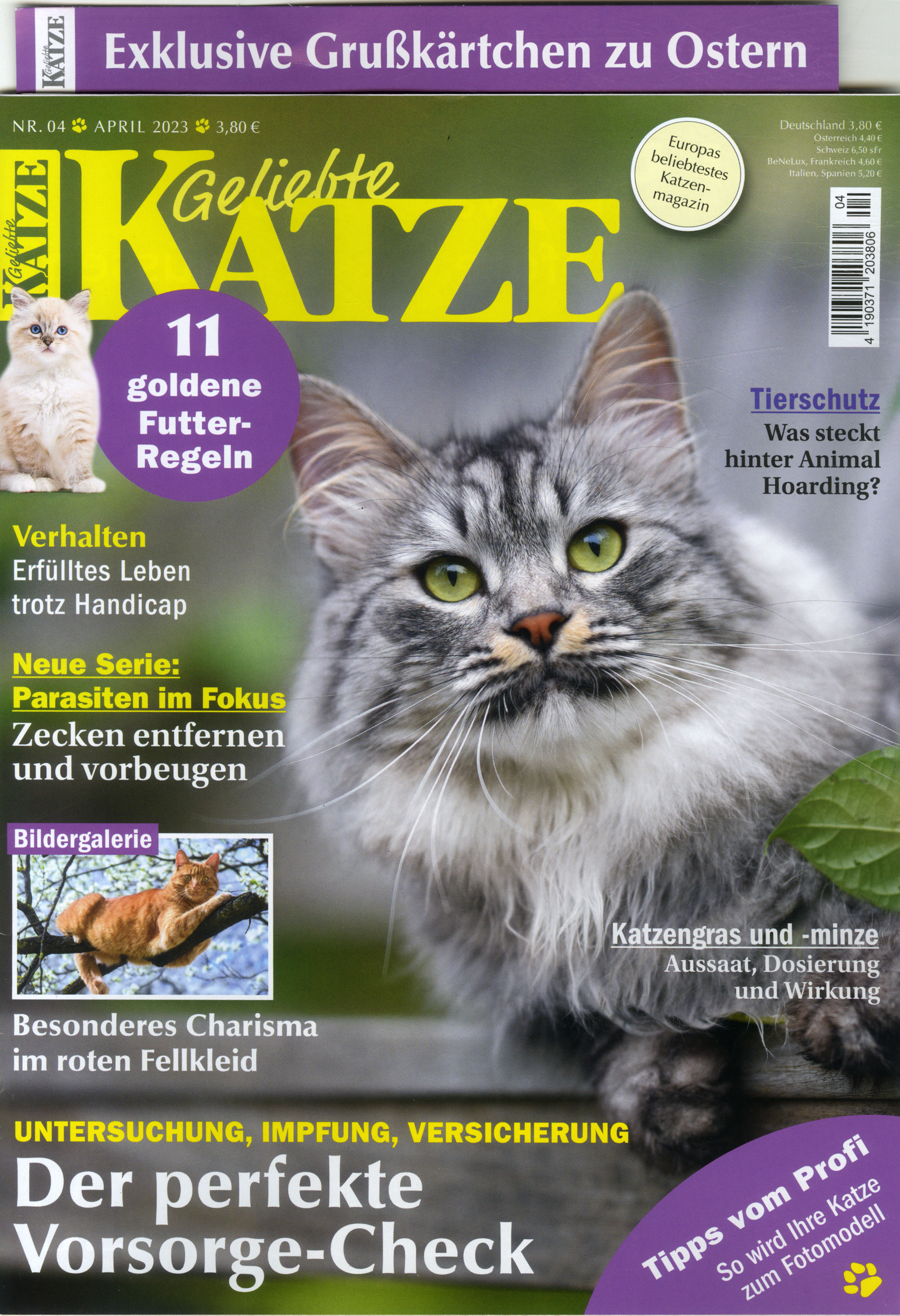 Geliebte Katze -Halbjahresabo als Geschenk